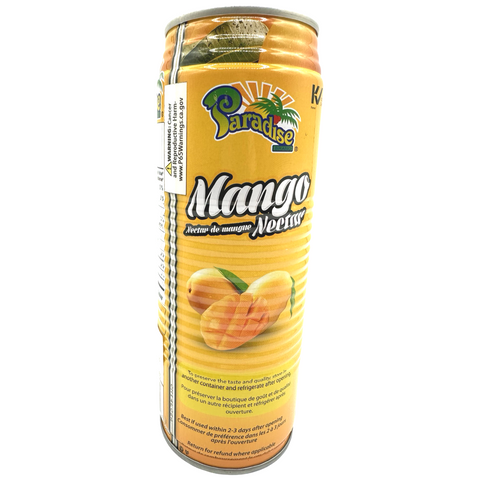 Paradise - Mango Drink - 520 ML