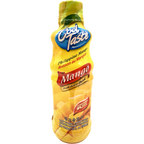 Cool Taste - Philippine Mango Fruit Juice Drink - 355ml