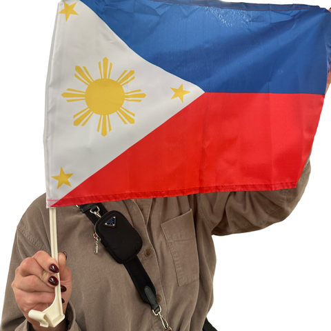 Philippines Car Flag - Polyester - Printed - 30x45 cm