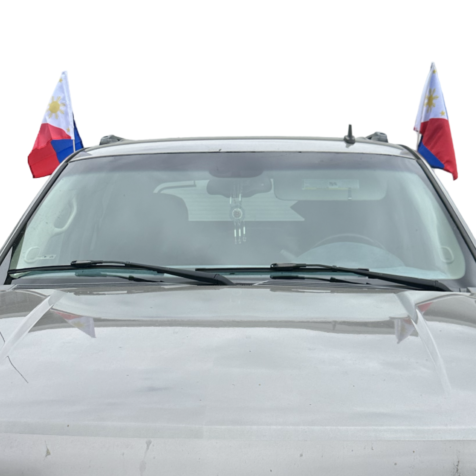 Philippines Car Flag - Polyester - Printed - 30x45 cm