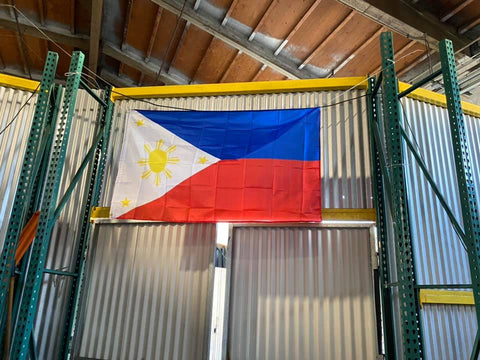 Philippines Flag - Polyester - Printed - 3x5 Ft (90x150 cm)