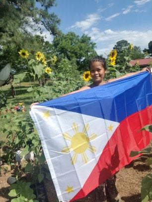 Philippines Flag - Polyester - Printed - 3x5 Ft (90x150 cm)