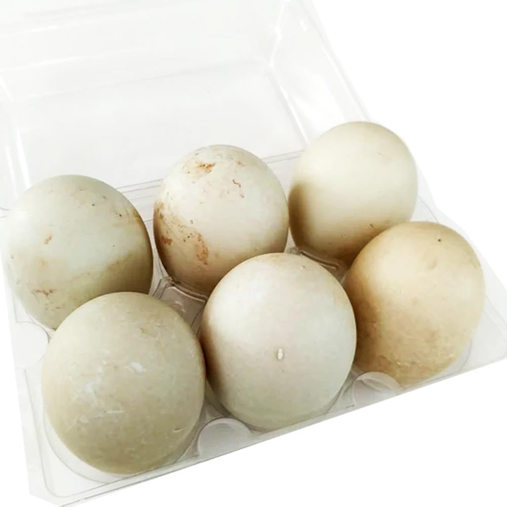 Balut - Incubated Duck Egg 14-21 Days (UNCOOKED) - 6 Eggs