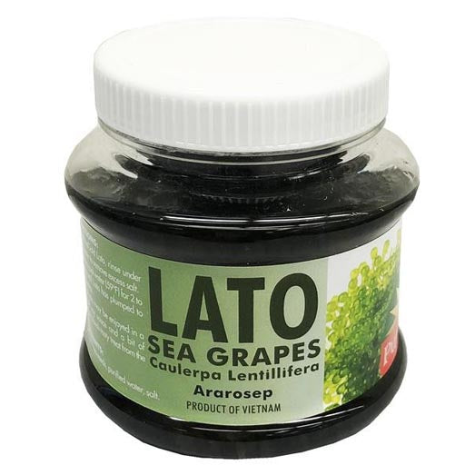 PureGold - Lato - Sea Grapes - Ararosep - 230 G