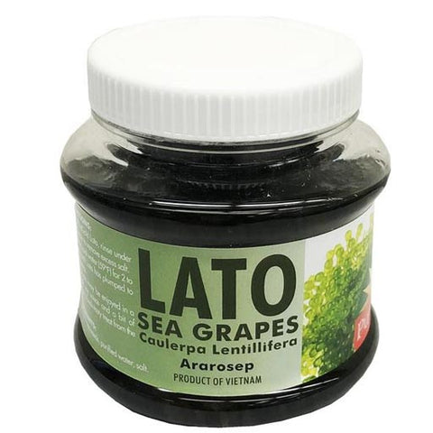 PureGold - Lato - Sea Grapes - Ararosep - 230 G