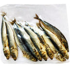 Special Bantayan Cebu - Dried Bodboron / Galunggong - Unsalted Mackerel Scad Fish - 150 G
