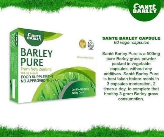 Sante Barley Capsule - 60 Capsules